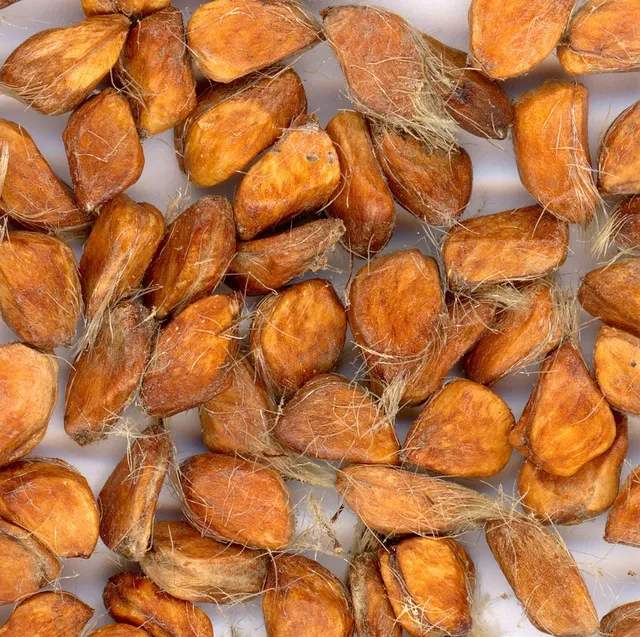 IRIScan-desk-A3.png