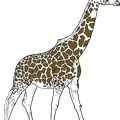 Mikrobefestigung_3_small.jpg