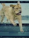 jc598pa-lexibook-paw-patrol-laptop-barn.jpg